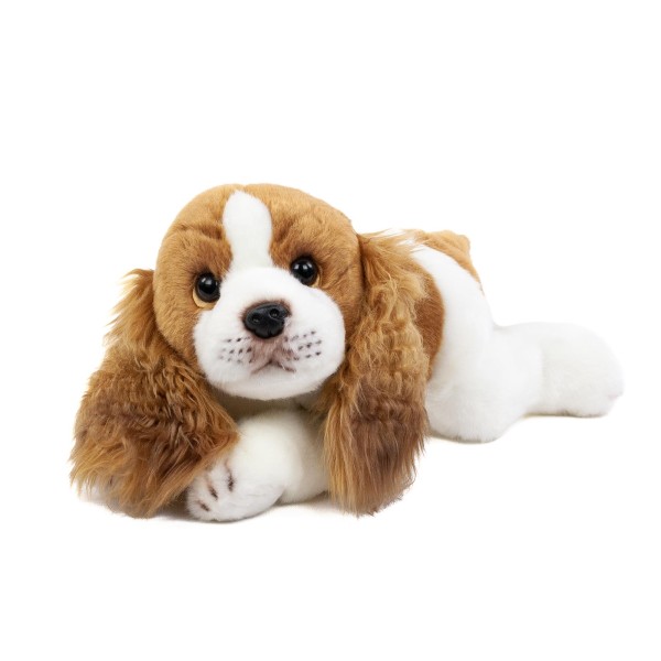 Kuscheltier Hund Cavalier 30 cm liegend braun/weiß Plüschhund