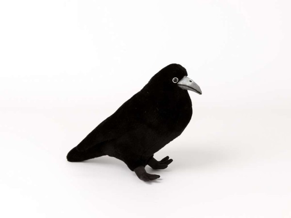 Kösen Saatkrähe Ilse 29 cm Vogel schwarz Rabe