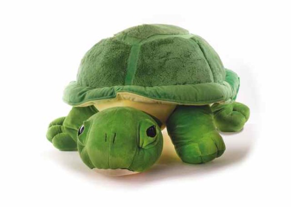 INWARE Schildkröte Chilly 70 - 80 cm grün