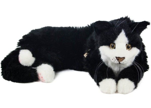 Kösen Katze Maine Coon Kater 74 cm schwarz-weiß Johnny