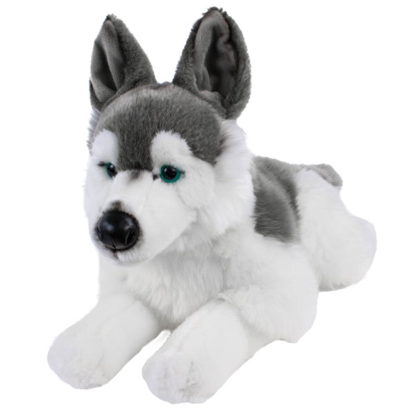 Kuscheltier Husky liegend 38 cm Hund Uni-Toys