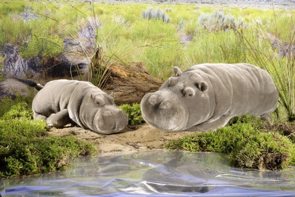 Kösen Nilpferd Flusspferd Hippo 35 cm liegend Kuscheltier