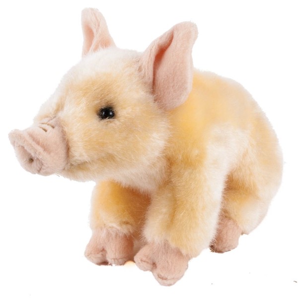 Schweinchen von vorne