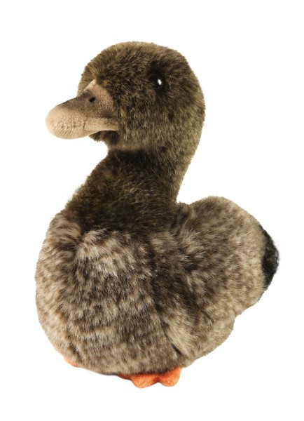 Kuscheltier Ente braun 23 cm Plüschente