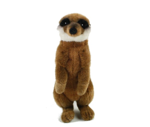 Kösen Erdmännchen 25 cm