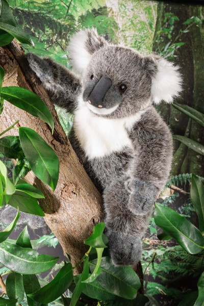 KÖSEN Koala 25 cm grau