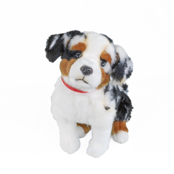 Australian Shepherd sitzend schwarz-weiß-braun 30 cm mit Halsband Kuscheltier