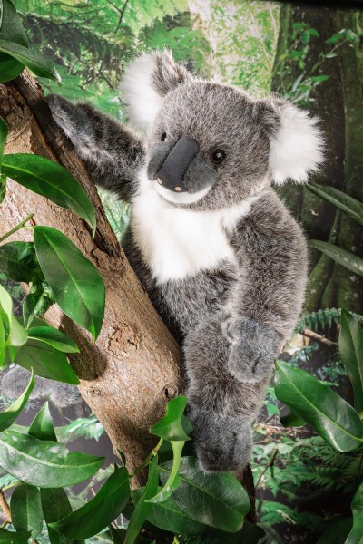Kösen Koala 25 cm grau