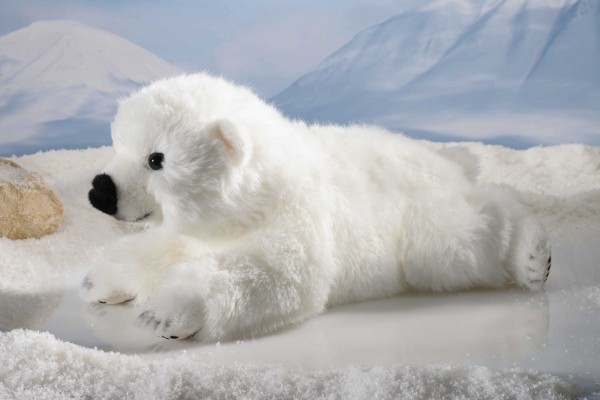 Kösen Eisbärbaby weiß 34 cm Stofftier