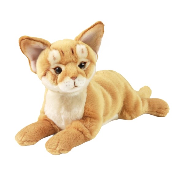 Kuscheltier Katze Abessinierkatze liegend 30 cm Plüschkatze