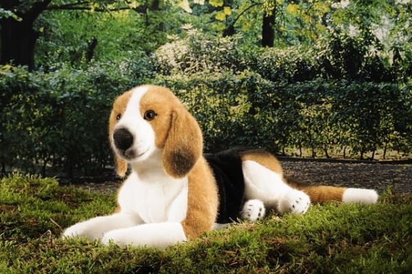 Kösen Beagle liegend 38 cm Stofftier Hund