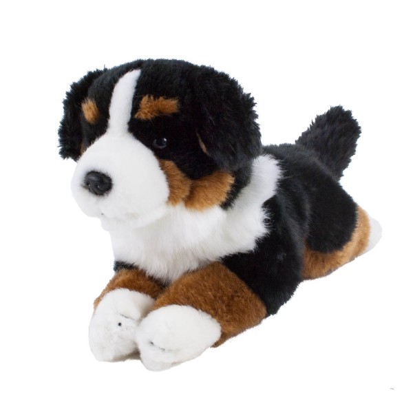 Kuscheltier Hund Berner Sennenhund 30 cm