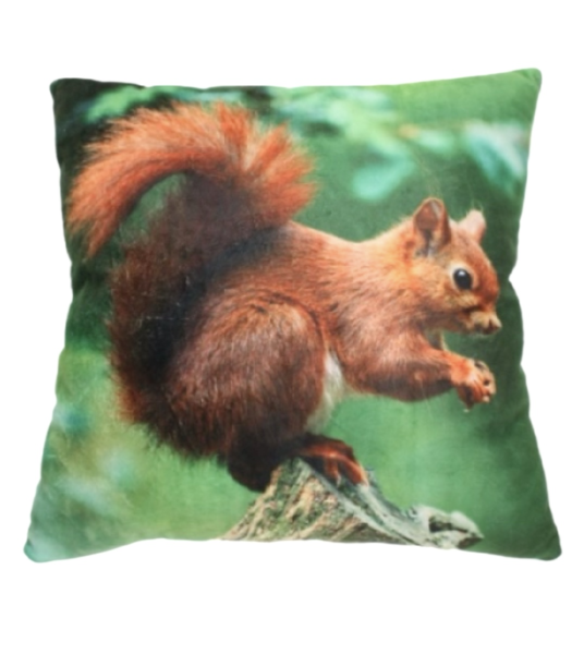 Plüschkissen Eichhörnchen 35 x 35 cm Foto Tierkissen