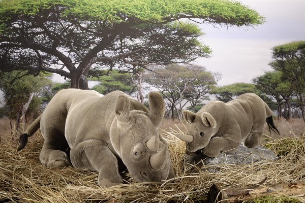 Kösen Nashorn 30 cm liegend Stofftier
