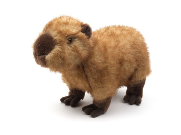 Kuscheltier Wasserschwein Capybara braun 28 cm Plüschtier