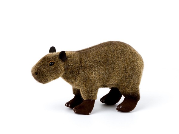 Kösen Capybara Wasserschweinkind 25 cm Plüschtier