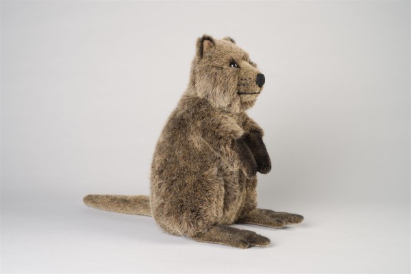 Kösen Quokka mittel 32 cm